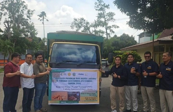 BULOG Sumut Mulai Salurkan 66 Ton Jagung SPHP ke Peternak, Total Alokasi Capai 1.116 Ton