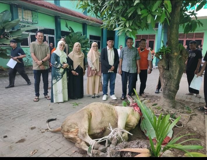 Hari Raya Idul Adha, MAN 2 Model Medan Sembelih 8 ekor Lembu