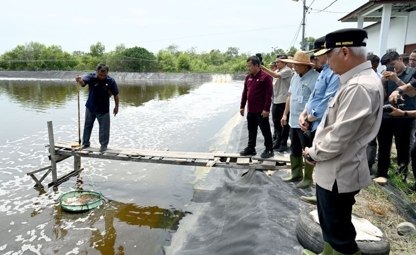 Tinjau UPTD BIAPAL Sialang Buah, Wagub Sumut Surya Dorong Peningkatan PAD Sektor Perikanan