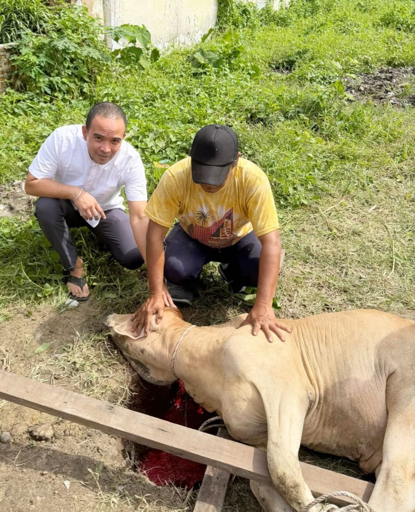 Ketua DPRD Deli Serdang Serahkan 9 Ekor Sapi Qurban Hingga Ke Hambalang