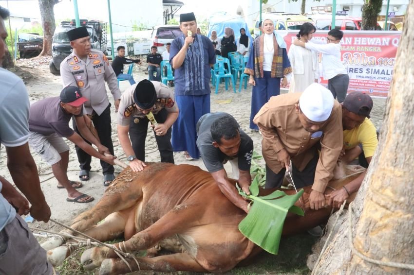 Polres Simalungun Salurkan 1200 Paket Daging Kurban