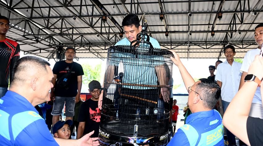 Buka Kontes Burung Berkicau, Bobby Nasution Dorong Sumut Jadi Pusat Kicau Mania Nasional