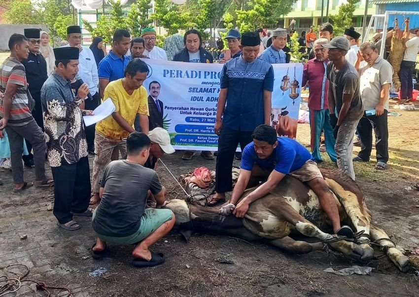 Perayaan Idul Adha 1447 H, UISU Sembelih 22 Hewan Kurban : Alhamdulillah, Tahun Ini Ada Peningkatan