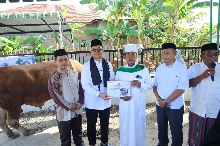 Pemerintah Kota Tanjungbalai Serahkan Bantuan Sapi Qurban Kemasyarakatan Presiden Prabowo Subianto di Masjid As Salamah Tanjungbalai