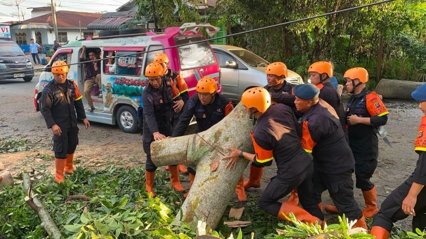 Pohon Tumbang Tutup Akses Jalan, Brimob Sumut Bergerak Cepat Bantu Warga Pematang Siantar