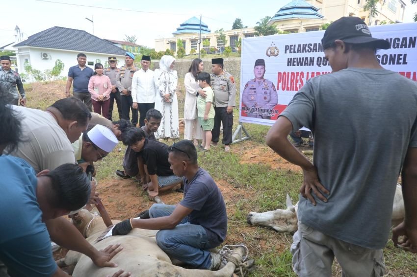 Polres Labusel Tebar Kepedulian Idul Adha, 530 Kantong Daging Kurban Dibagikan untuk Warga