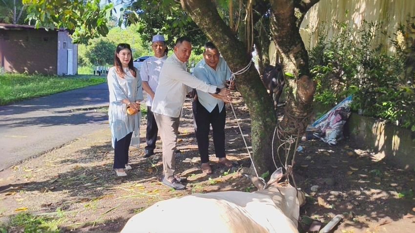 Polres Binjai Sembelih 7 Ekor Sapi dan 3 Ekor Kambing