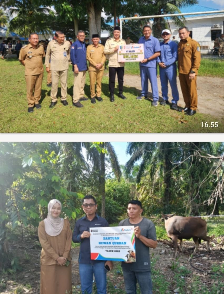 Sambut Idul Adha 1447 H,INALUM Salurkan 107 Jewan Kurban di Sumatera Utara*