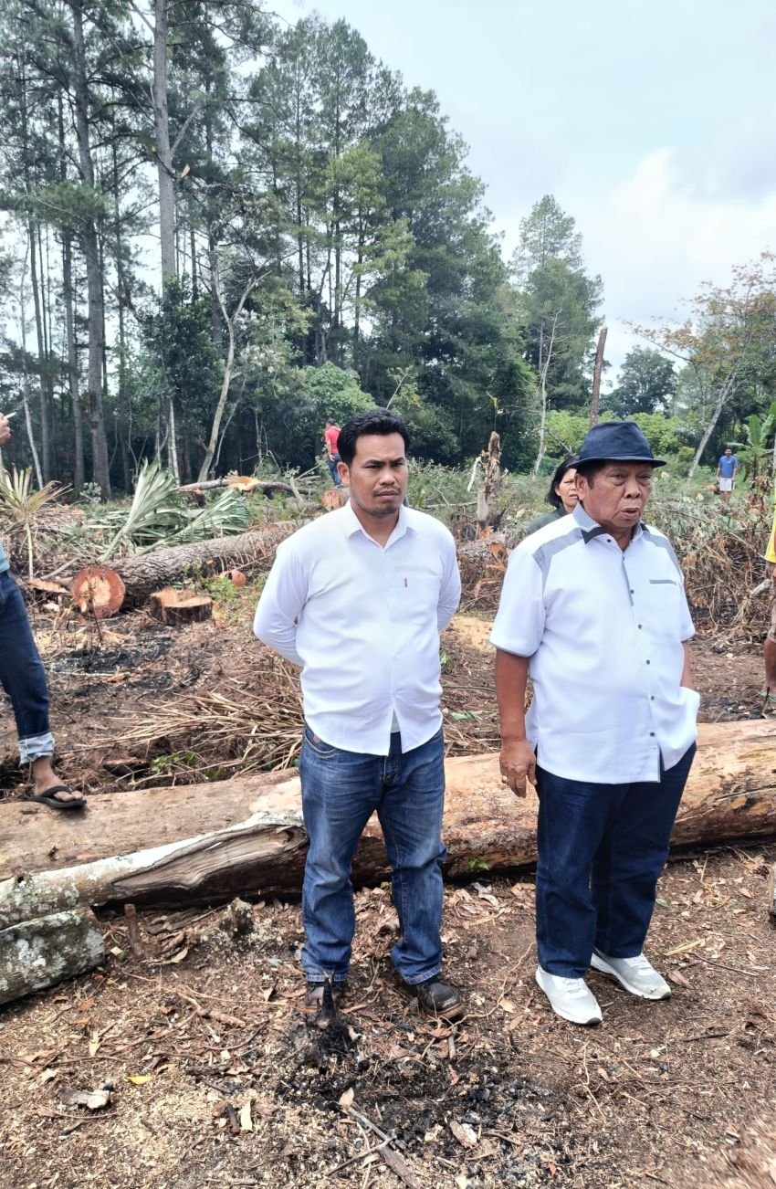 Diduga Tidak Serius, Polres Taput Terbitkan SP3 Atas LP Anthon Sihombing Atas Pengrusakan Kayu Pinus Dilahan Bersertifikat