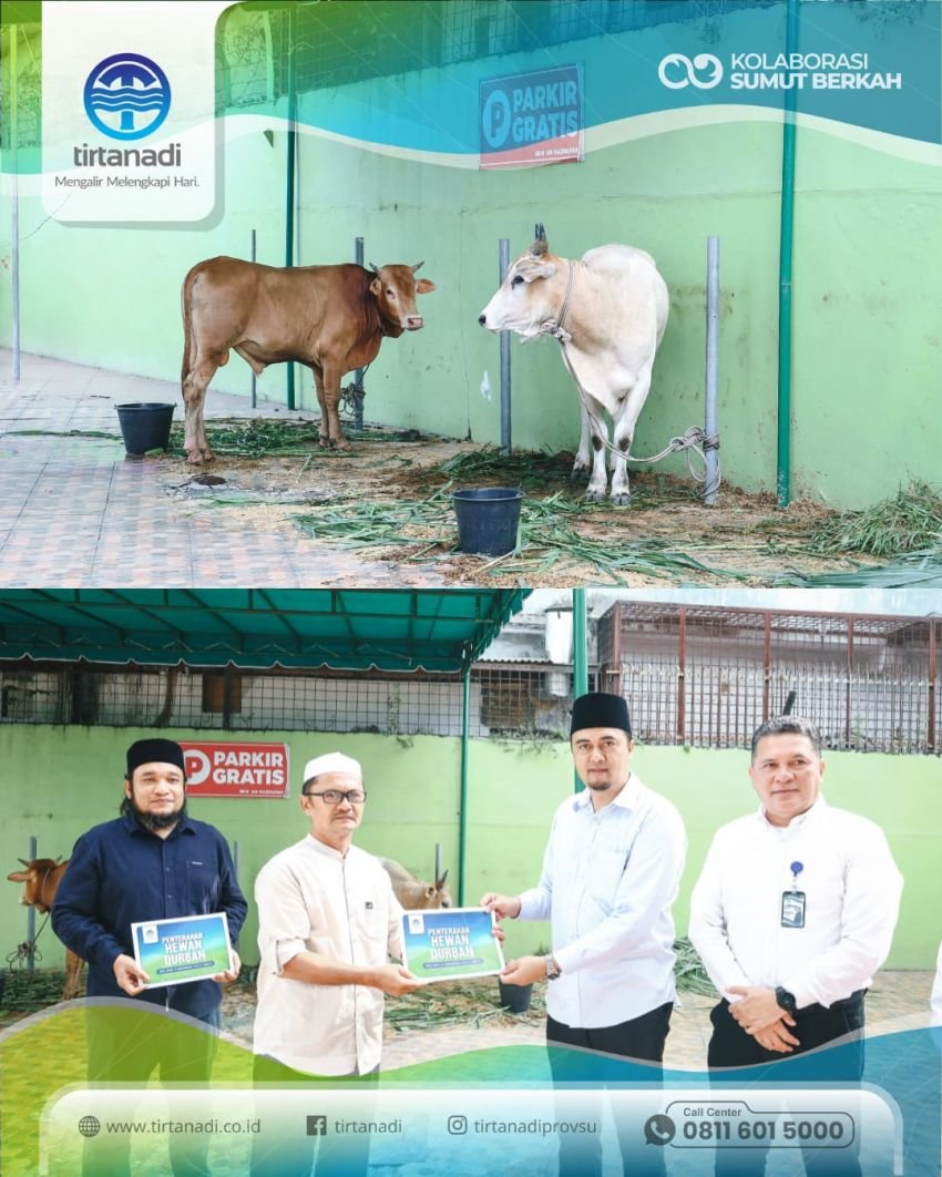 Dirut Perumda Tirtanadi Serahkan 13 Ekor Sapi Kurban