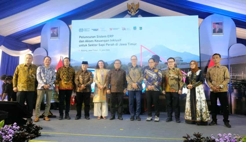 OJK dan ILO Luncurkan Enterprise Resource Planning, Tingkatkan Akses Pembiayaan Peternak Sapi Perah