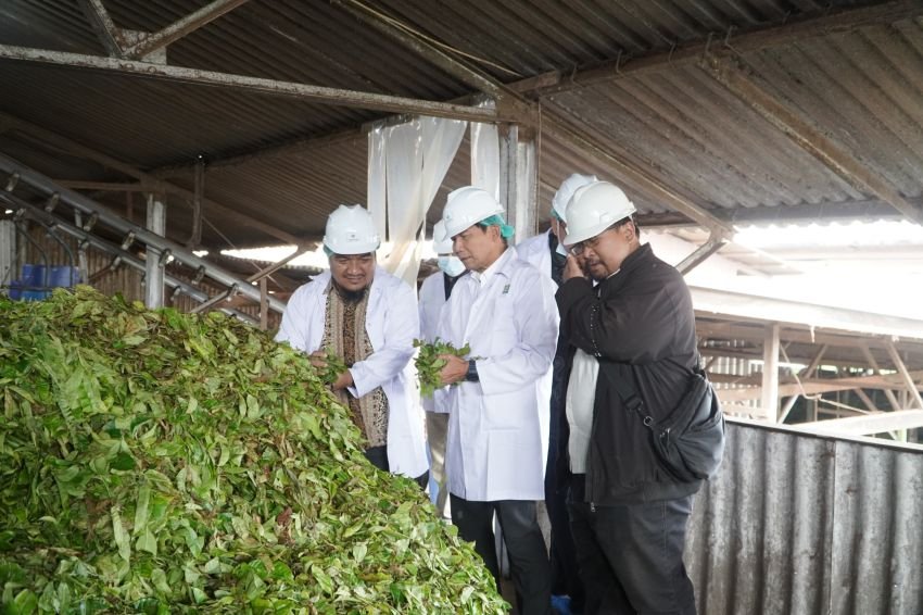 Dewan Komisaris PTPN IV PalmCo Tinjau Keandalan Operasi dan Dukung Peningkatan Kualitas Produksi di Kebun Danau Kembar dan Kayu Aro