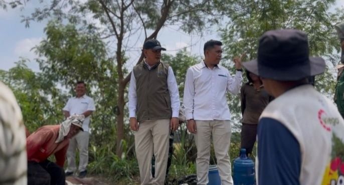BULOG Tembus 3 Juta Ton Serapan Gabah-Beras Petani, Rekor Baru Penguatan Cadangan Pangan Nasional