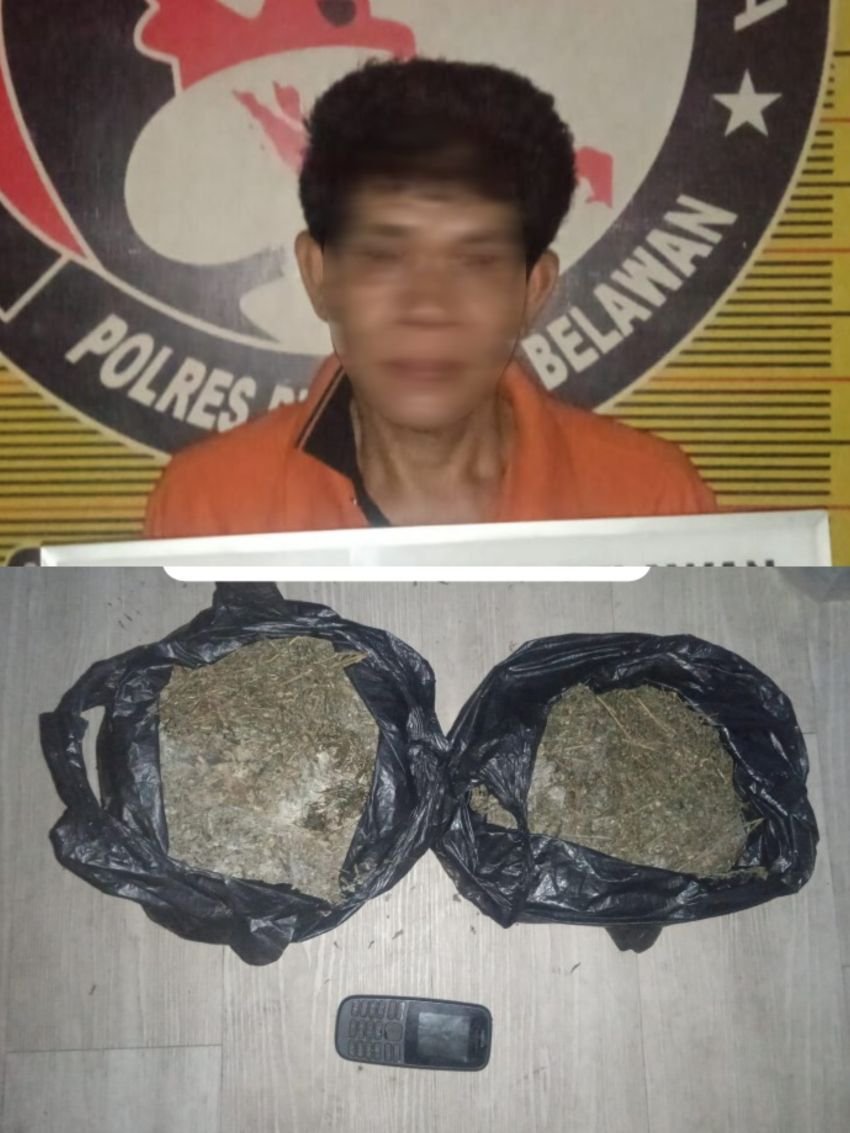 Polres Pelabuhan Belawan Tangkap Pengedar 840 Gram Daun Ganja Kering