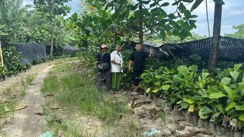 Eks Pj Wali Kota Banda Aceh Kunjungi Agrobisnis Aren di Pesantren Al Hidayah Deli Serdang Untuk Dikembangkan Di Aceh