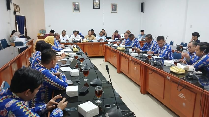 Anggaran SILPA Dan Usul Sewa 30 Mobil Listrik, Waket DPRD DS: Kami Tolak Dan Akan Uji Petik