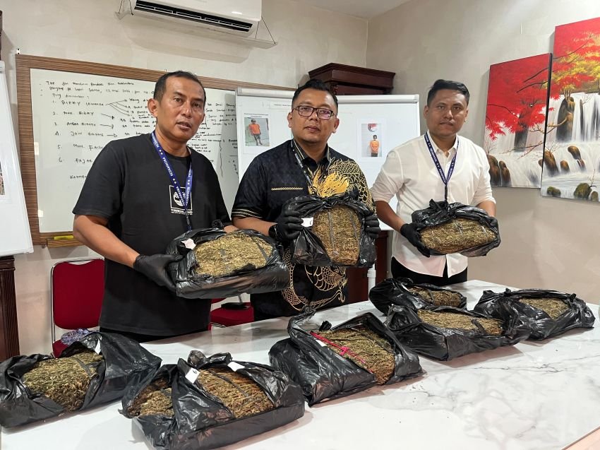 Sat Res Narkoba Polrestabes Medan Ungkap Kasus Narkotika : Bandar Dibekuk, dan 9,4 Kg Ganja Gagal Edar