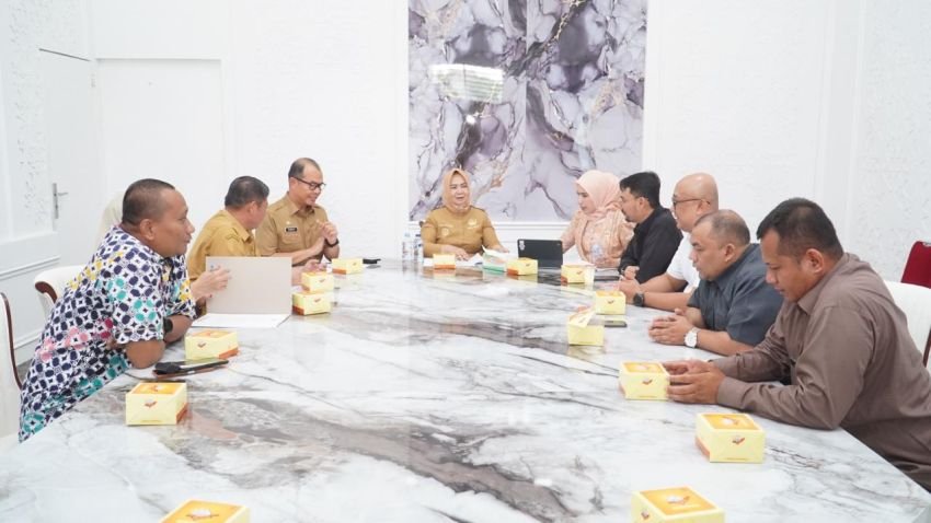 Plt Bupati Tiorita Percepat Penguatan Sektor Energi Demi Dongkrak PAD Langkat