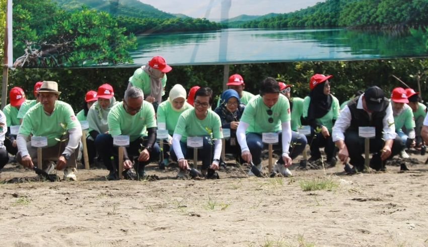 Bangun Rumah Semai Bibit Mangrove, AHM Tumbuhkan Harapan Baru bagi Pesisir Karawang