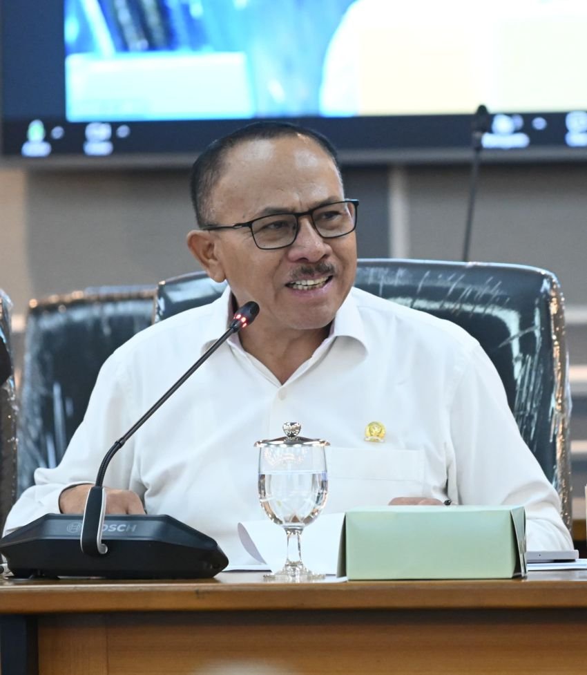 Rapat Panja Komisi XIII DPR, Dr. Maruli Siahaan Tekankan Pentingnya Pidana Alternatif Atasi Overcrowding Lapas