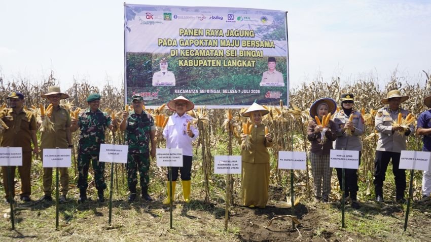 OJK Sumut Dorong Klaster Kemitraan Jagung Langkat untuk Perluas Akses Pembiayaan Petani