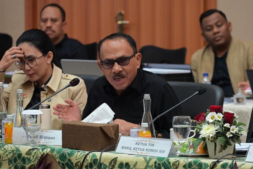 Dr. Maruli Siahaan: Perkuat Perlindungan Hukum Profesi Kurator
