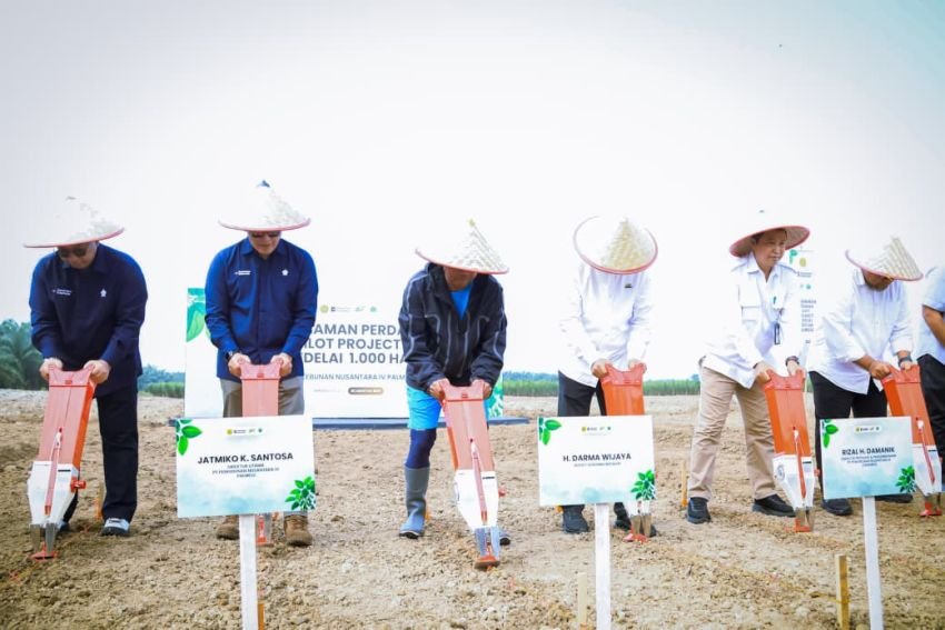 Bupati Sergai Tanam Kedelai Serentak di Kebun Adolina