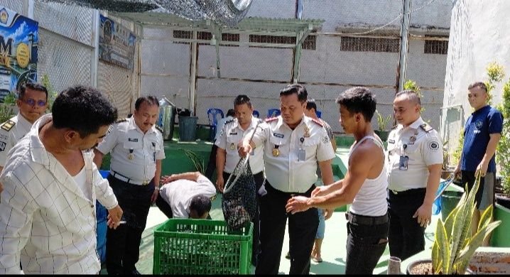 Kalapas Pancur Batu Bersama Warga Binaan Panen Ikan Lele