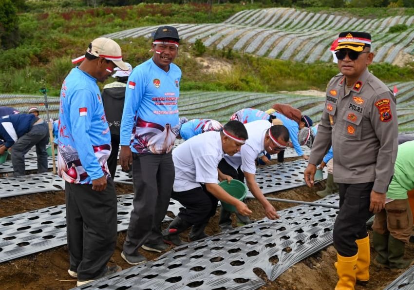 &ldquo;Polri Untuk Negeri&rdquo; Bupati Bersama Kapolres Tanam Bawang Putih di Humbahas