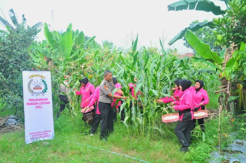 Bhayangkari SPN Hinai Dukung Program P2L Untuk Ketahanan Pangan Berkelanjutan