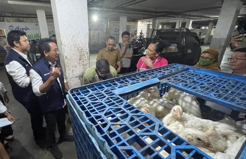 KPPU Soroti Lonjakan Harga Daging Ayam Di Sumut
