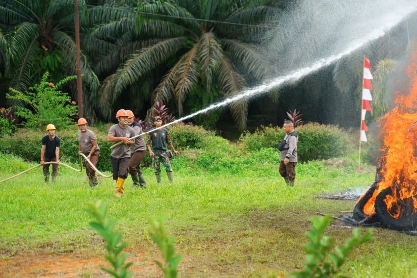 Antisipasi Karhutla, PTPN IV PalmCo Perkuat Deteksi Dini dan Patroli di Sumatera-Kalimantan