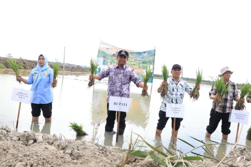 Bupati Sergai Dorong Gerakan Tanam Serempak Perkuat Ketahanan Pangan