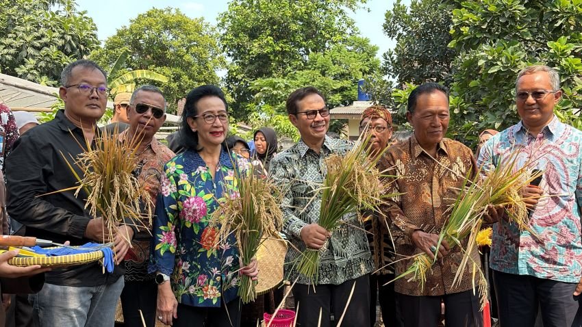 DPD DIY Dorong Ketahanan Pangan Berbasis Masyarakat melalui Pertanian Terpadu&nbsp;