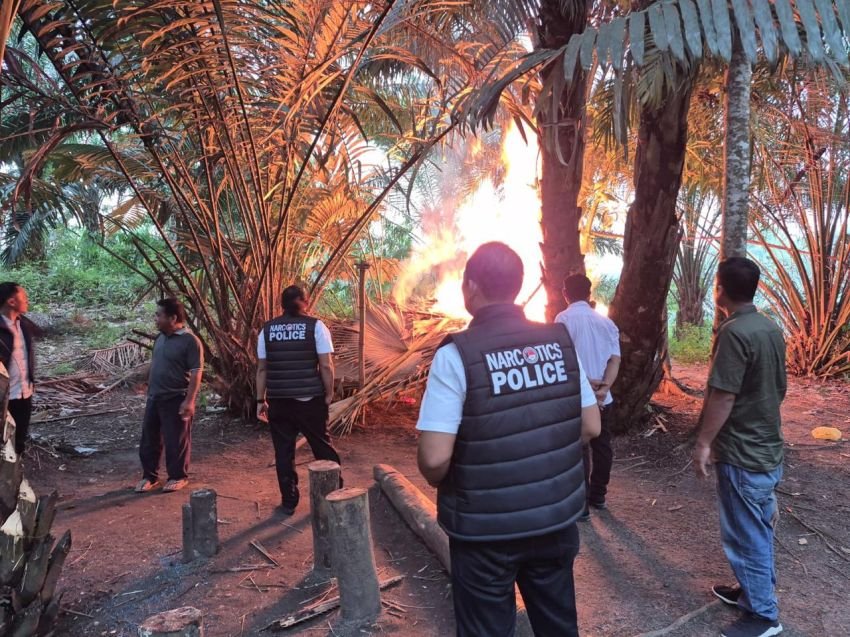 Viral di Facebook, Polsek Kotarih Bakar Gubuk Sarang Narkoba&nbsp;