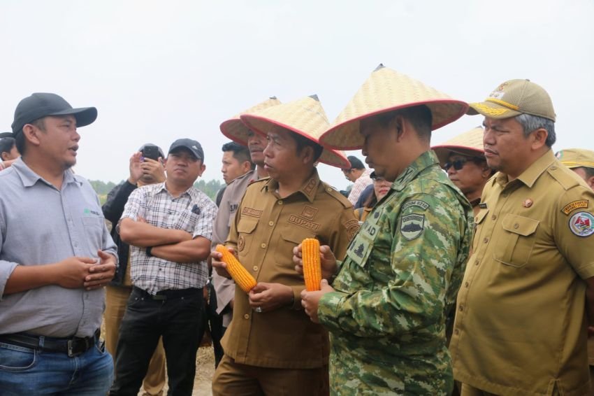 Dorong Pertanian Unggulan, JTP Prioritas Tanaman Jagung dan Holtikultura
