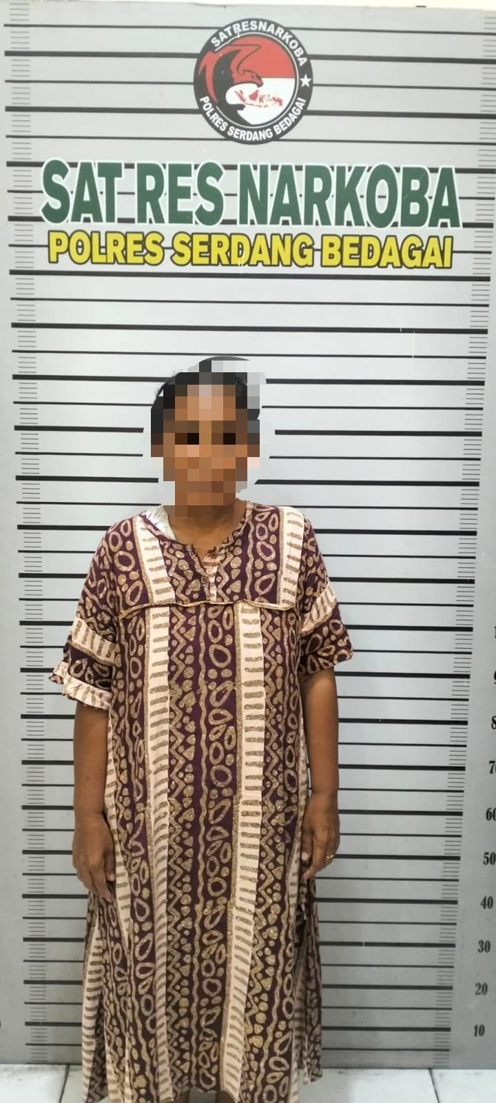 Ibu Rumah Tangga Ngedar Sabu, Barbut 1,1 Gram Diamankan