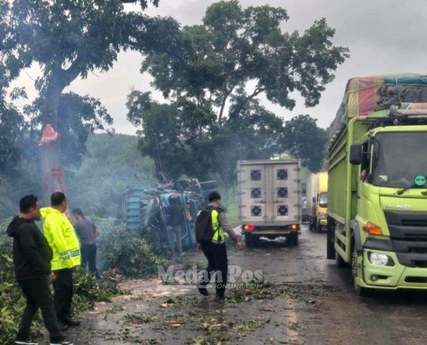 Mobil Box Ekspedisi Hantam Pohon di Jalinsum Sisumut, Arus Lalu Lintas Sempat Tersendat