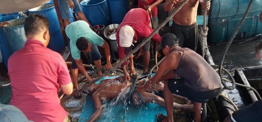 Diduga Terpapar Gas Beracun Dalam Palka, Tiga ABK KM Pulau Samosir Tewas, Kodaeral I Gerak Cepat Evakuasi Para Korban