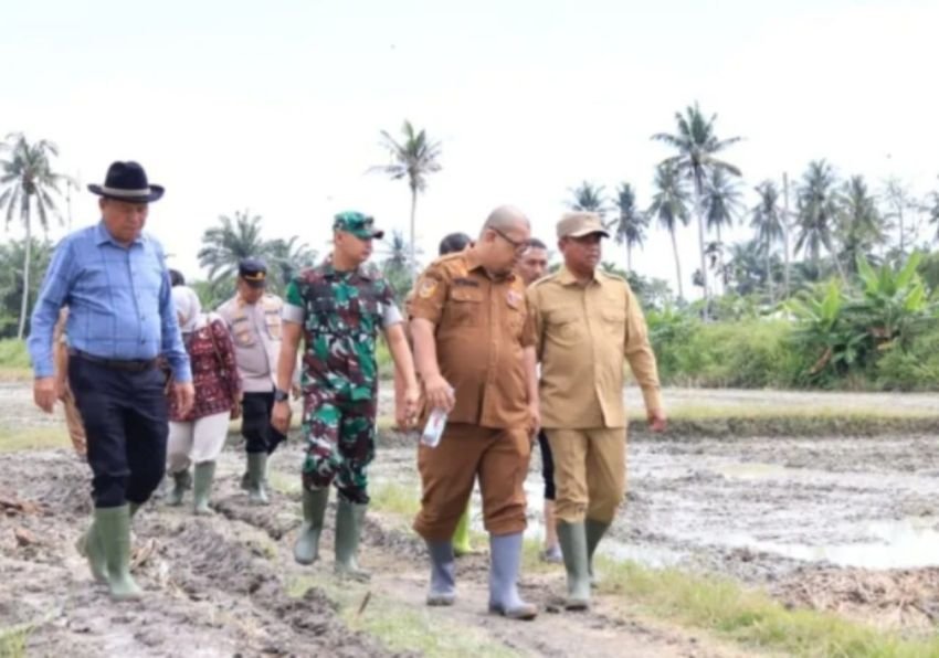 Kinerja Distan Sergai atas Dukungan Terhadap Kesejahteraan Petani Mendapat Apresiasi&nbsp;