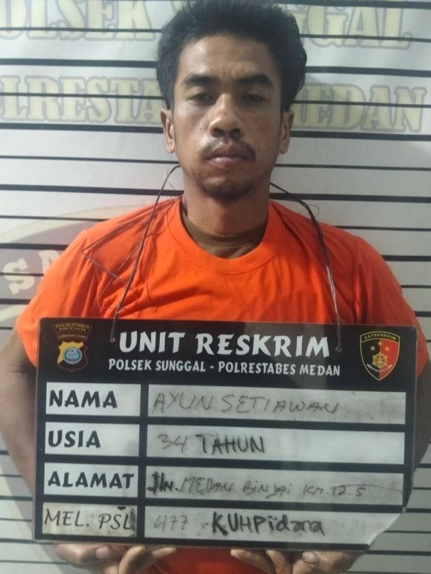 Polsek Sunggal Tangkap Pencuri Sawit di Perkebunan Sunggal : Barbut 17 Tandan