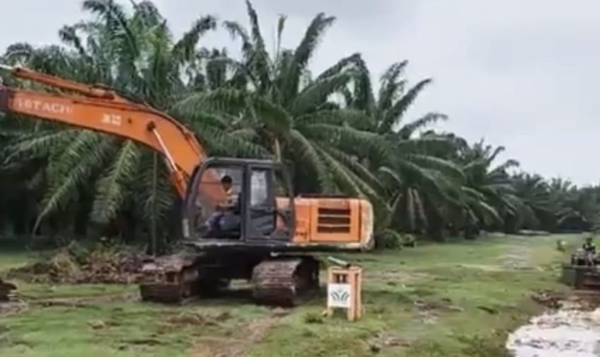 Antisipasi Luapan Banjir di Meranti Paham, PTPN IV Regional II Turunkan Escavator