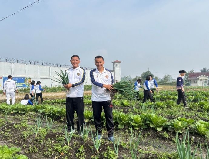 Rutan Humbang Hasundutan Panen Daun Bawang, Dukung Program Kemandirian Warga Binaan