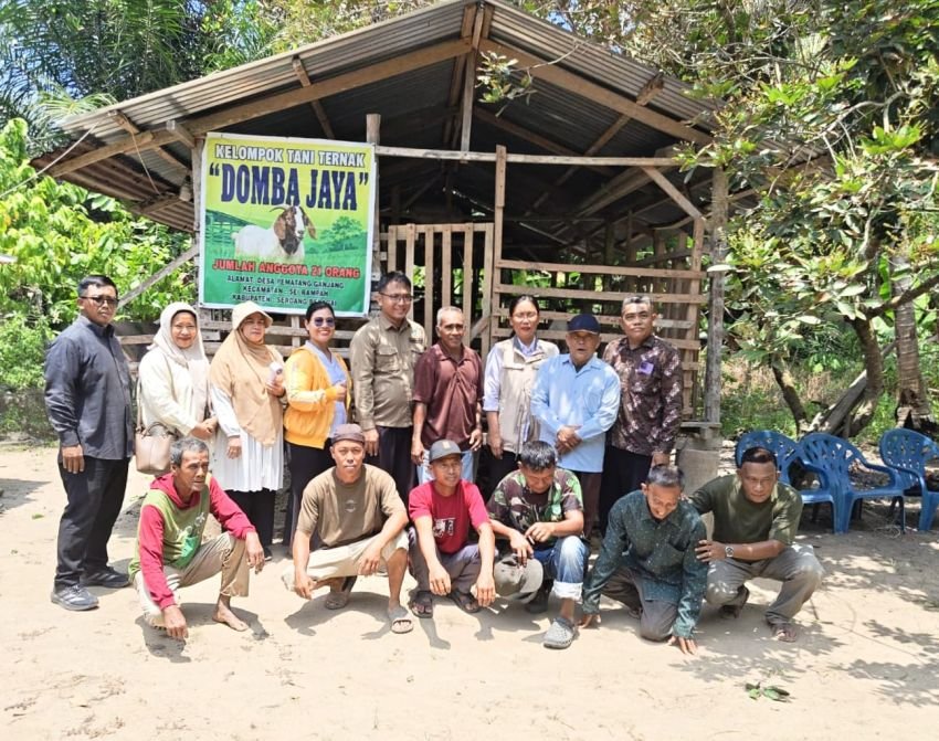 Terkait Bantuan 150 Ekor Sapi dari Provinsi, Distan Sergai Harap Terealisasi