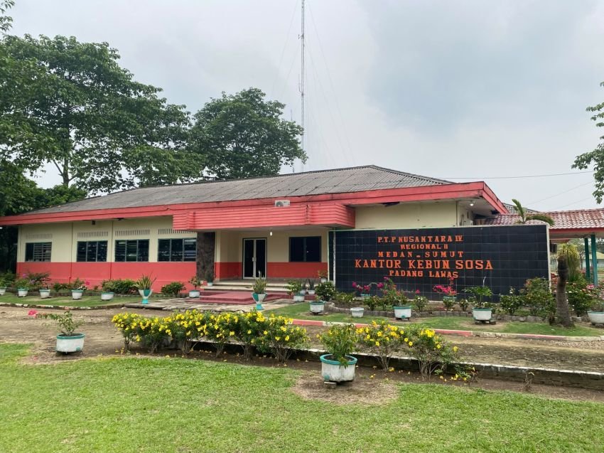 Jaga Aset Negara, PTPN IV Regional 2 Pastikan 65 Ha Lahan di Kebun Sosa Masuk HGU