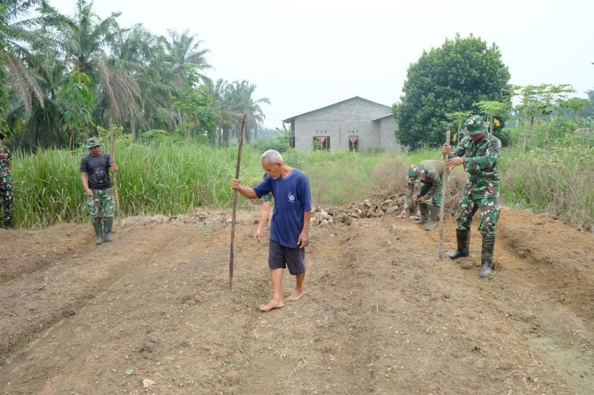 TMMD ke-130 Kodim 0209/LB Gerakkan Ketahanan Pangan, TNI dan Warga Cikampak Berjibaku Tanam Harapan