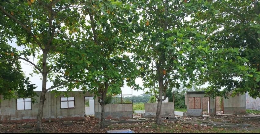 Gawat, 4 Tahun YPPK AJamu 'Makan' Dana BOS Dari Murid Fiktif