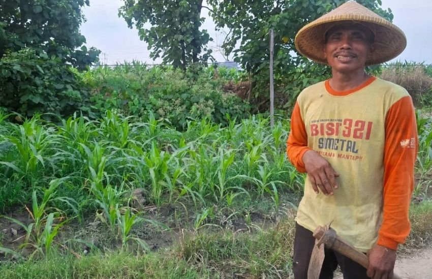 Kades, Hobi Tetap Bertani: Potret Indra Sebada yang Bikin Kagum