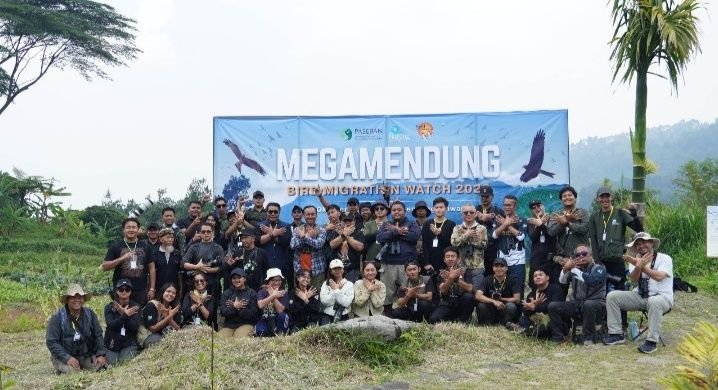 915 Catatan Raptor Migran Melintas di Megamendung, Kab Bogor: Menjaga Persinggahan, Merawat Masa Depan